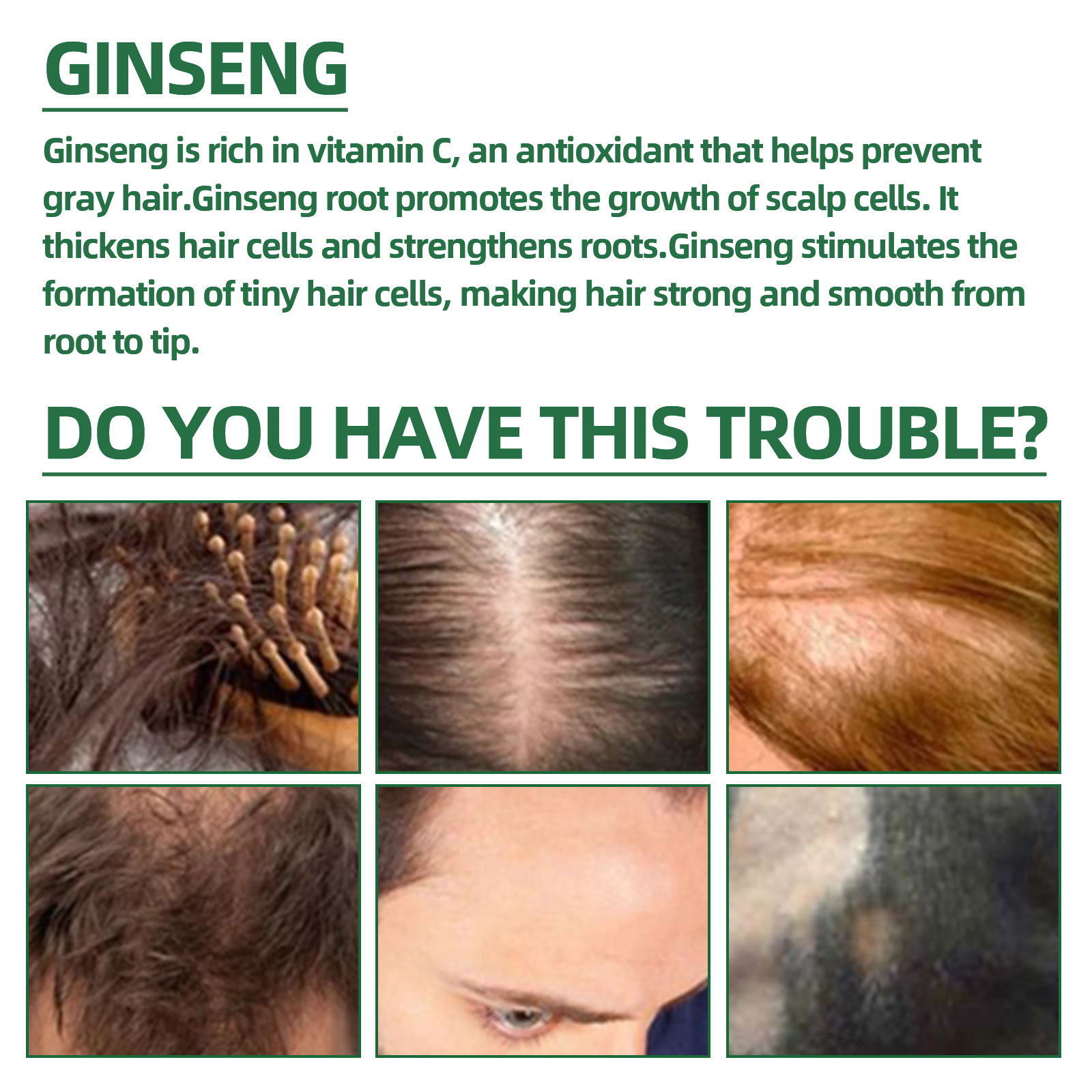 Natural Herbal Ginseng Hair Ca – Hair Care Herbal Products recenzja i cena